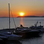 Azalea Ποντστράνα